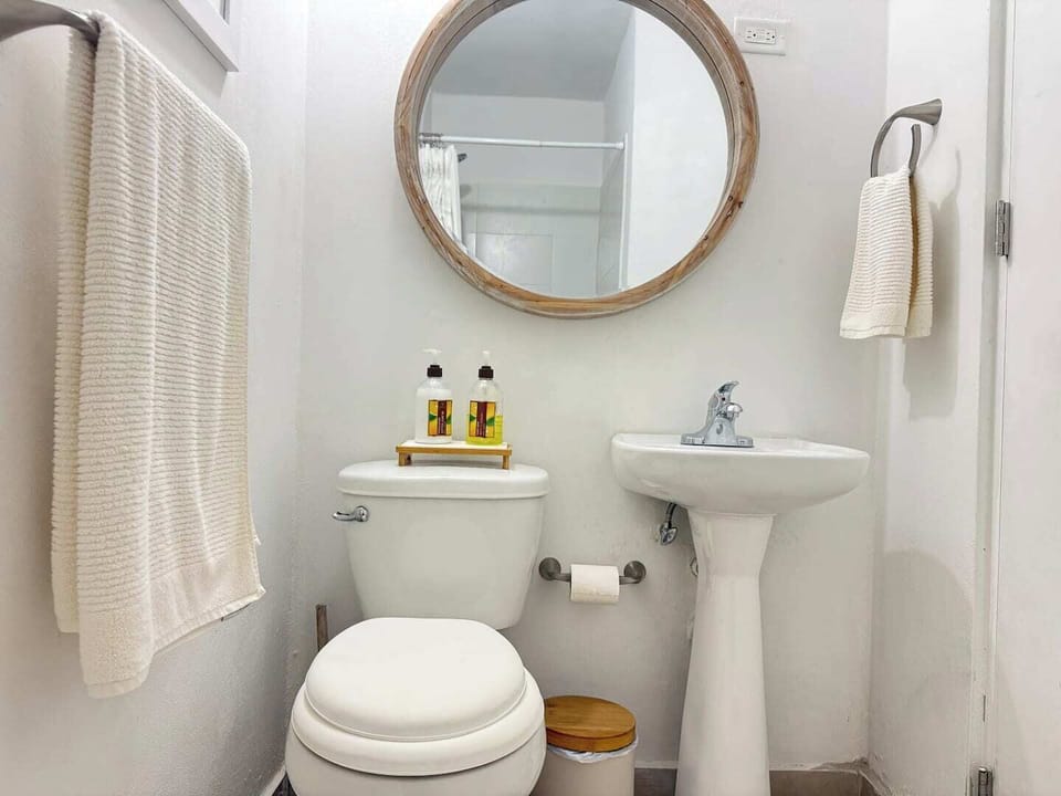 Guest Bathroom 