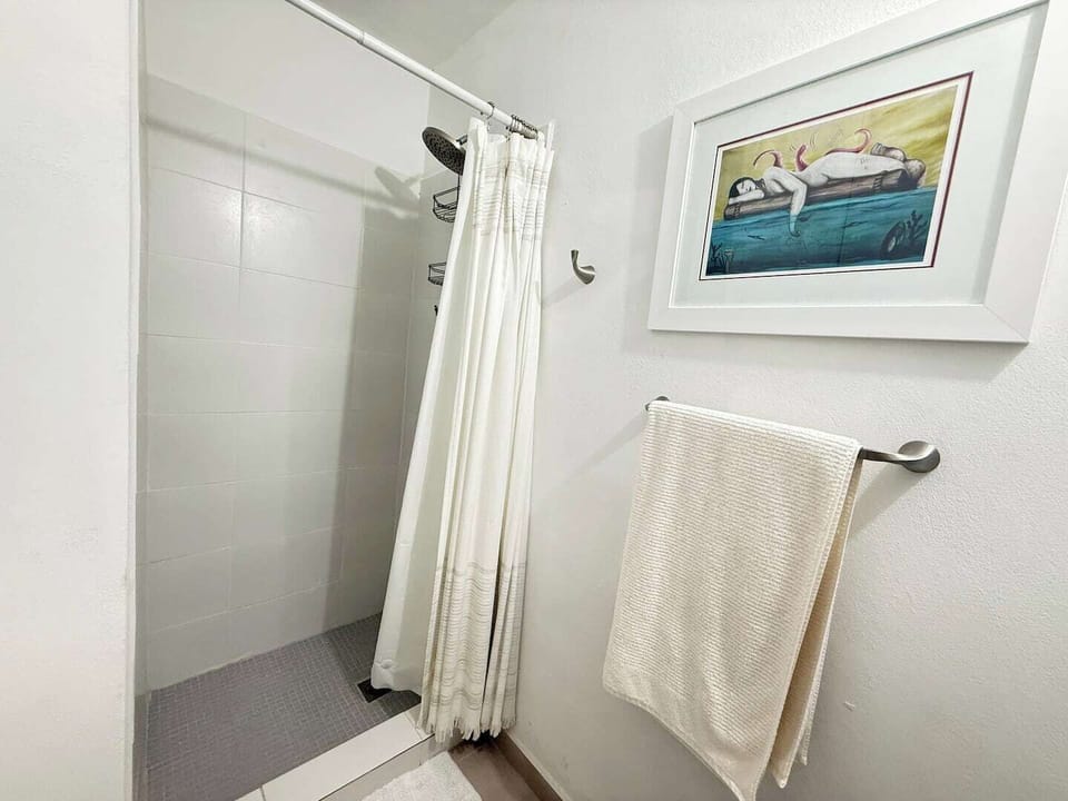 Guest Bathroom Shower
