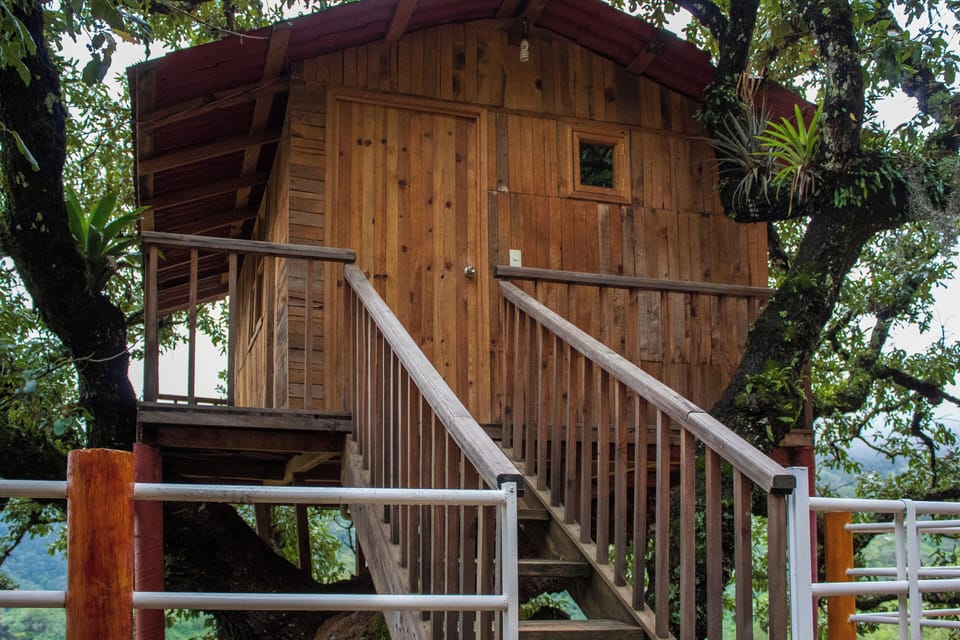 Standard Cabin, Garden View