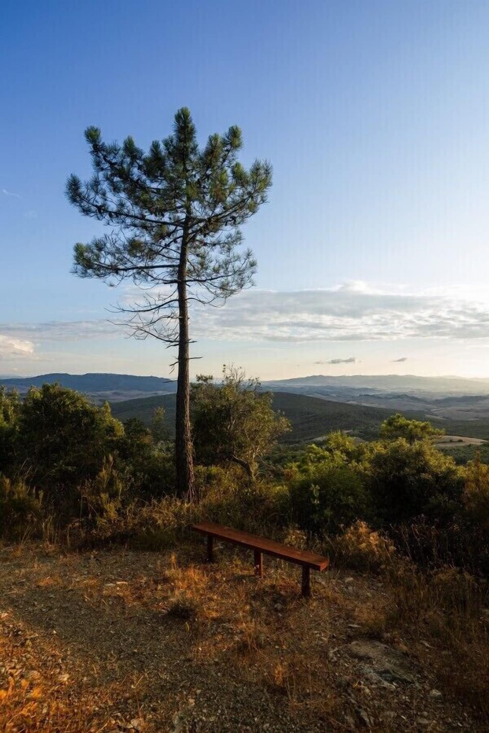 Land view from property