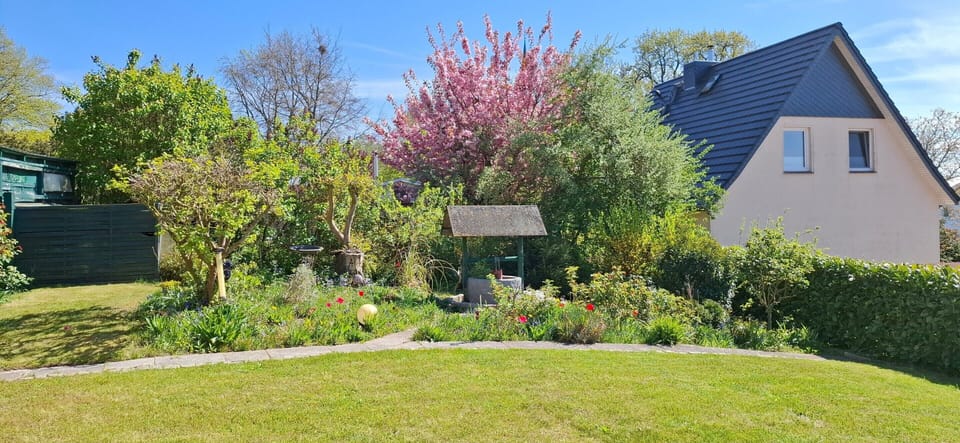 House | Garden