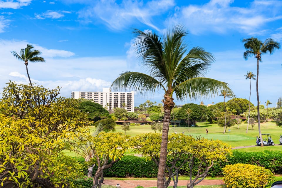 Enjoy peaceful garden views with tropical trees and distant island architecture