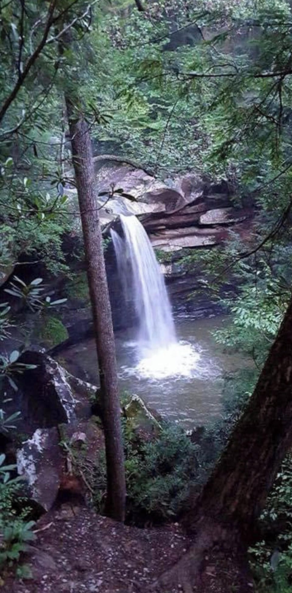 Flat Lick Falls minutes away