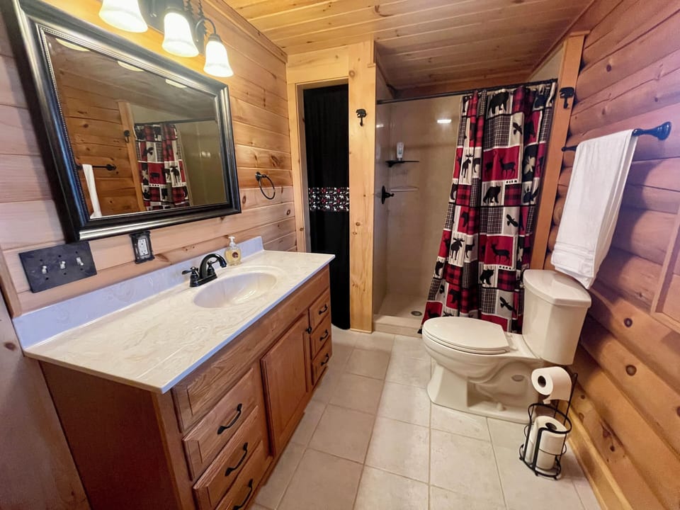 Main Level Bathroom, Walk In Shower Combo