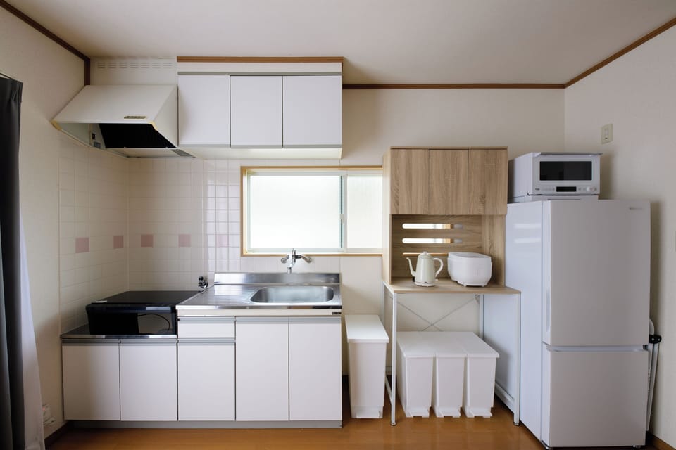 Standard Apartment, Balcony, City View | Private kitchen | Fridge, microwave, stovetop, electric kettle