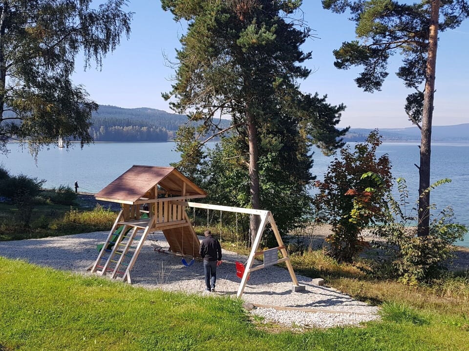 Recreation, Leisure, Lawn, Shade, Park, Shore, Reservoir, Landscaping, Vacation