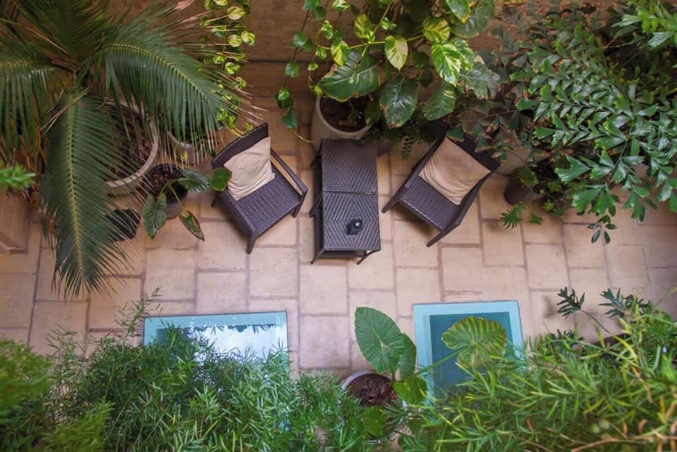 Step out of the Pinto Suite and take a moment to appreciate the lush greenery of the central courtyard below.