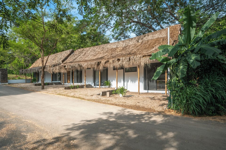 Full property, lush greenery