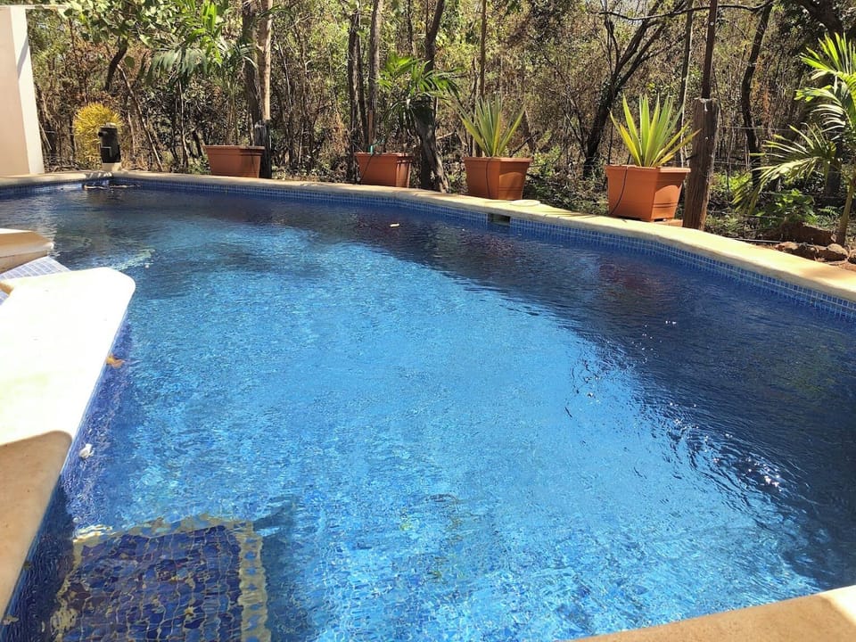 Saltwater pool, refreshing,