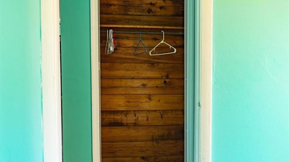 Bedroom closet with hanging space