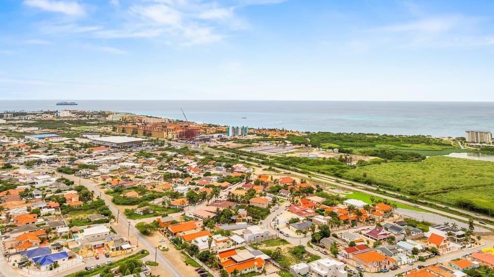 Aerial view of the property and neighborhood