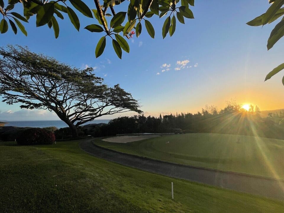 Experience a breathtaking sunset over the golf course, with golden light filtering through the branches of a majestic tree.