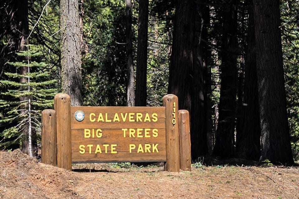 Big Trees State Park is nearby