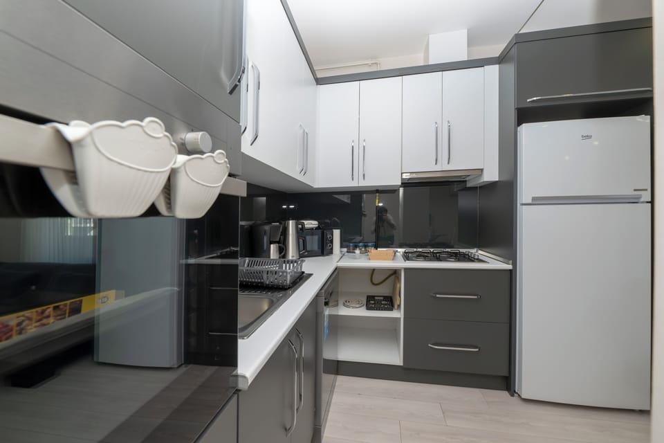 Deluxe Apartment, 2 Bedrooms, Terrace | Private kitchen | Fridge, microwave, oven, stovetop