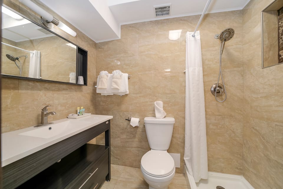 Standard Studio, 1 King Bed, Kitchen (Self check-in) | Bathroom | Shower, hair dryer, towels, soap