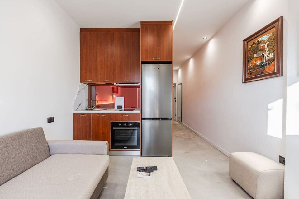 Fully-equipped kitchen and living room
