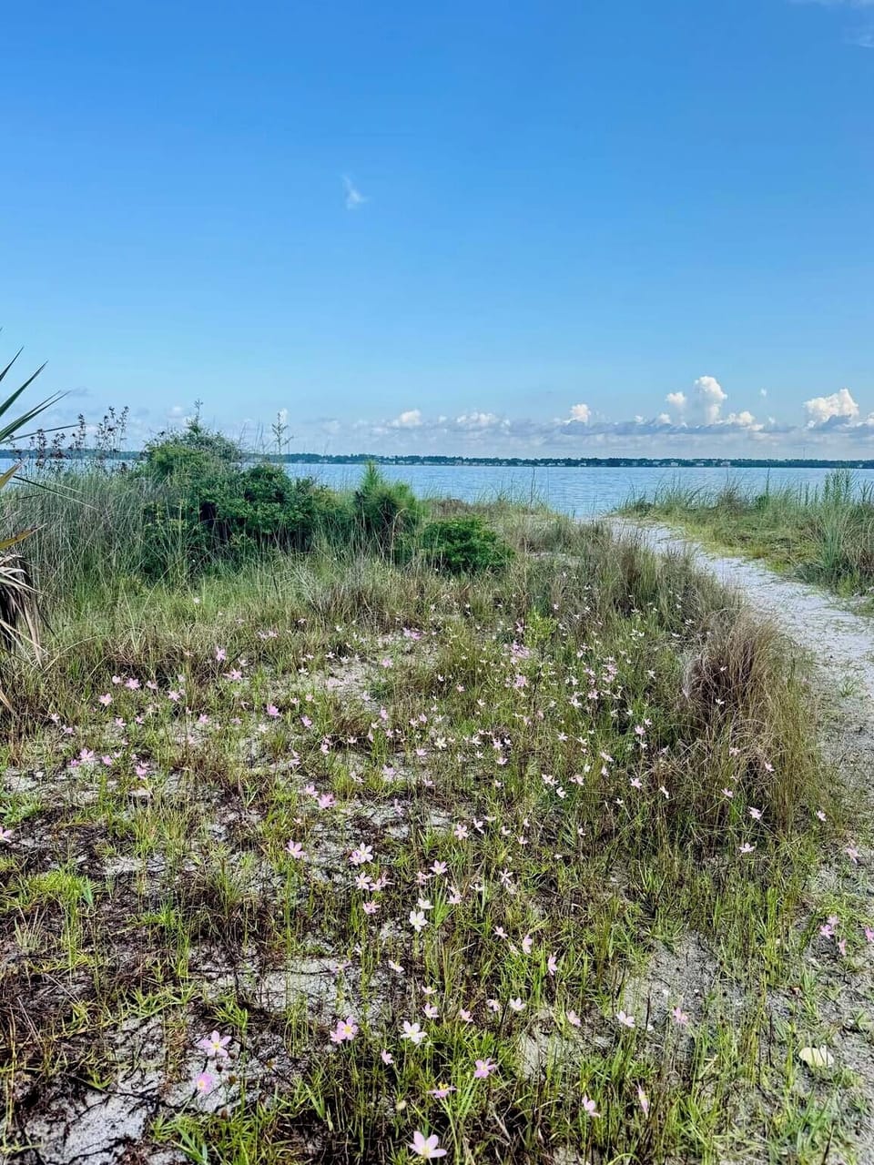 Direct access to the Santa Rosa Sound