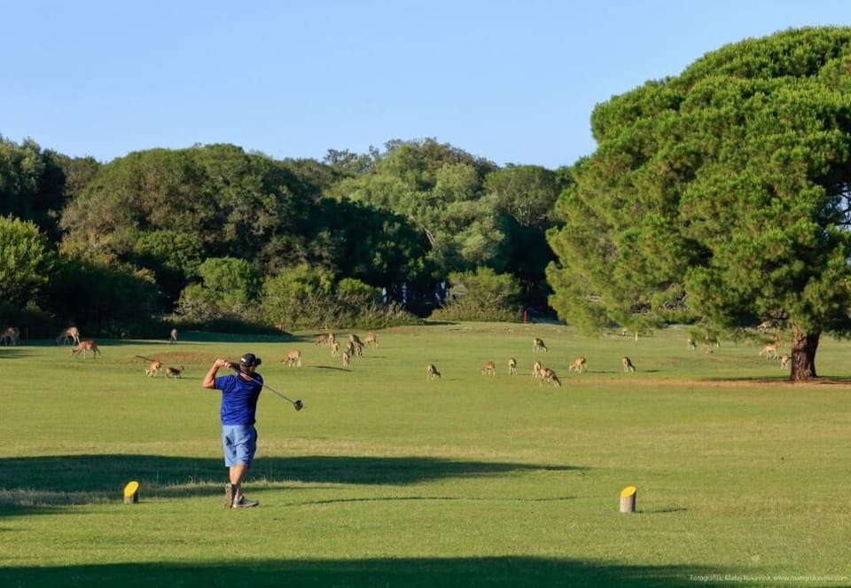 Golf