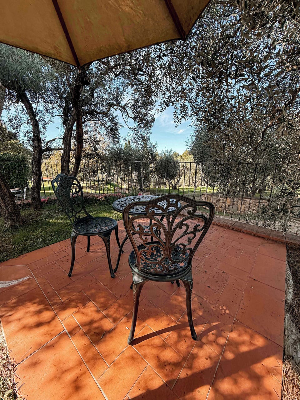 Coffee with a view under the Olives 