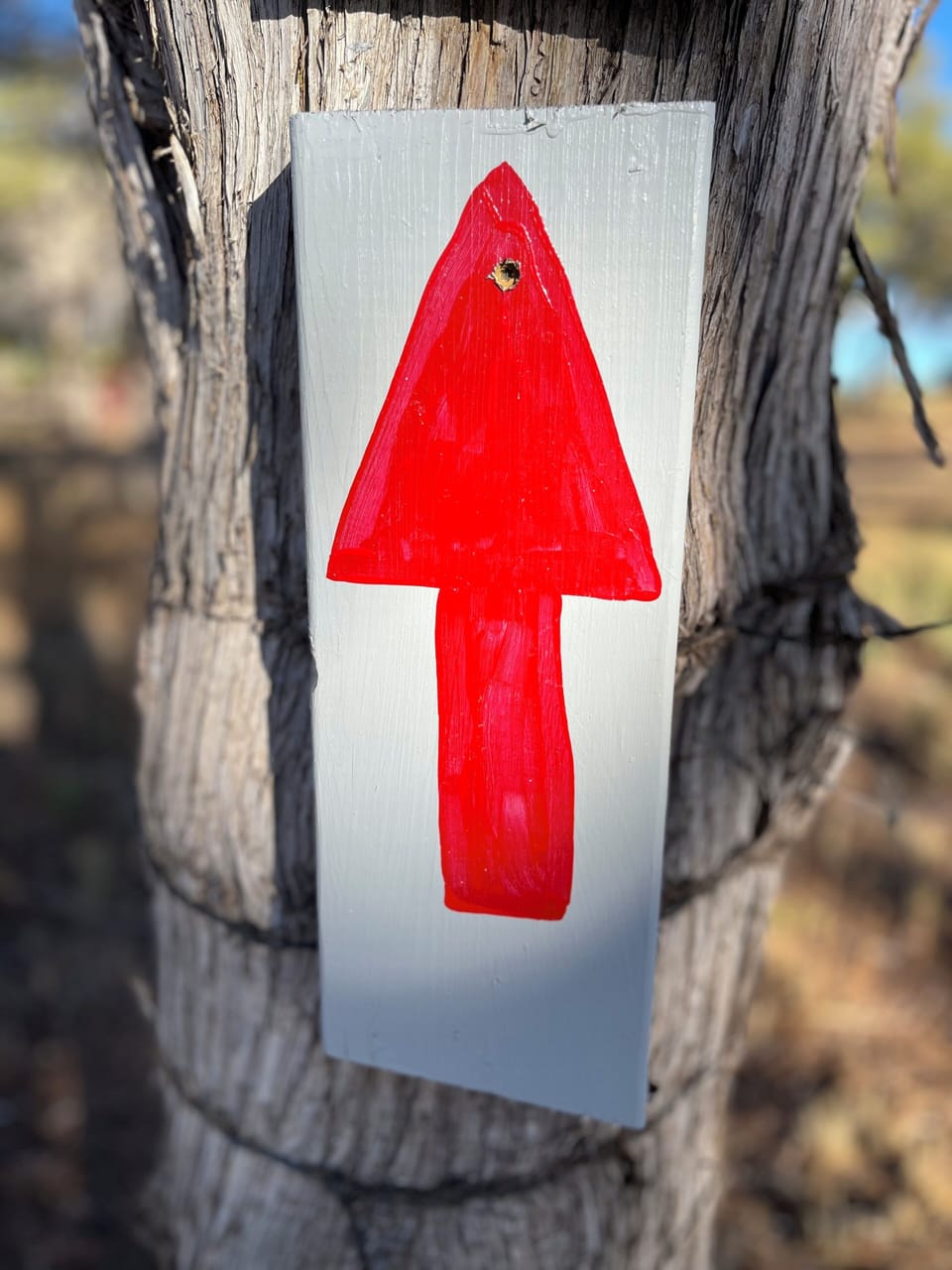 Directional arrows to entrance and parking
