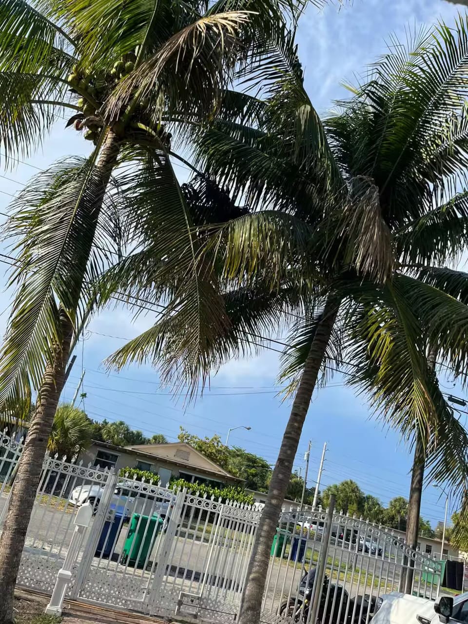 Property grounds