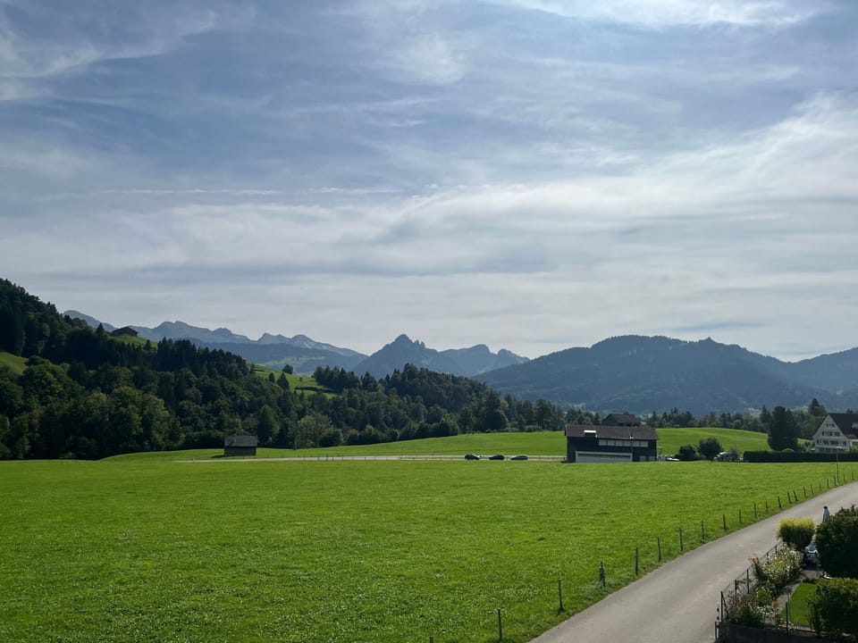 View