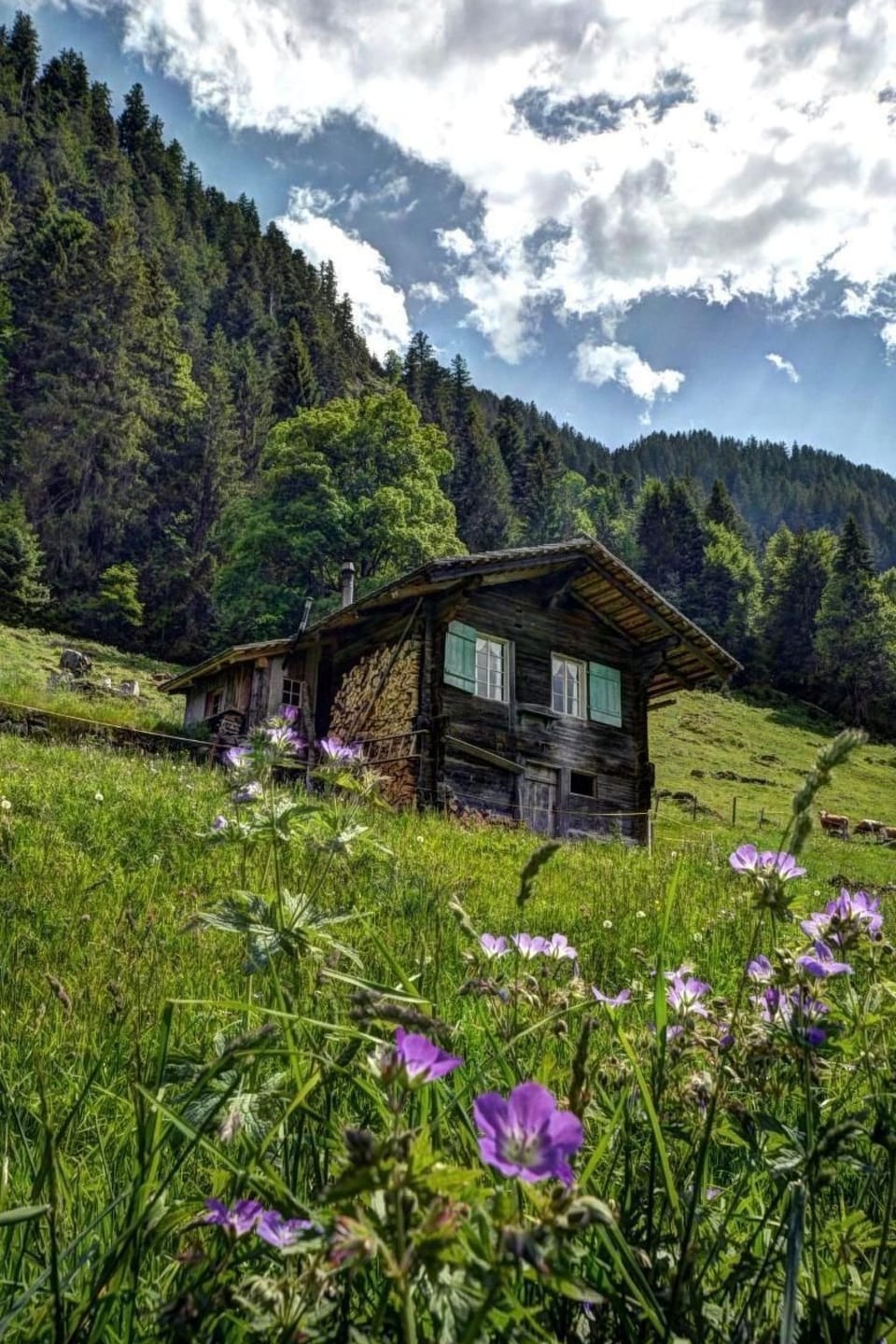 House