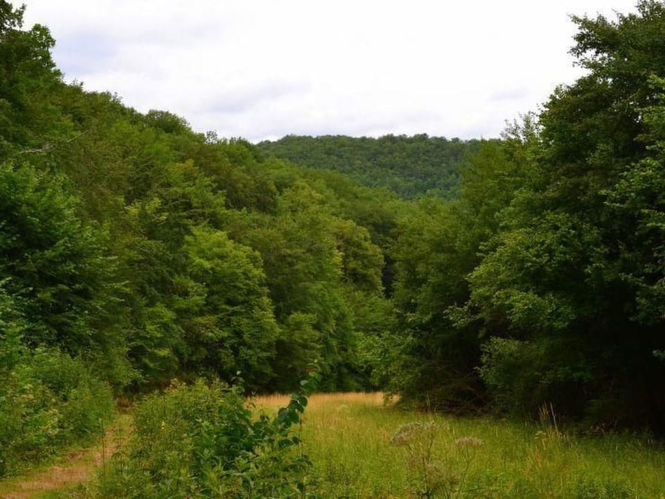 Place