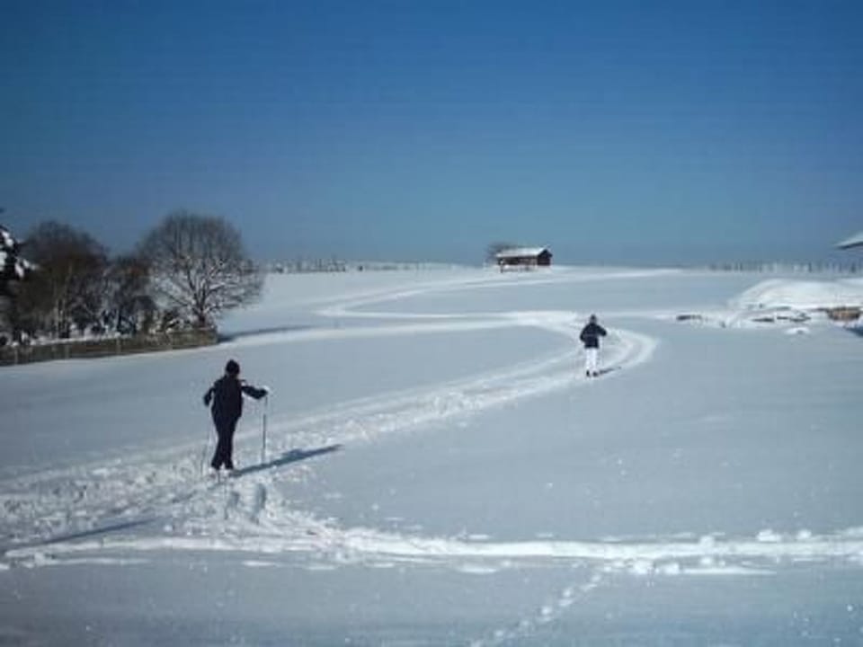 Snow and ski sports