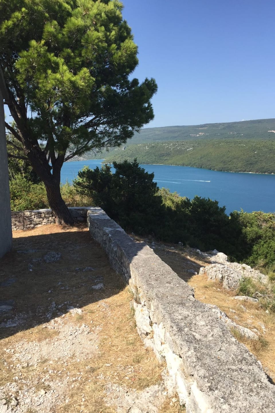 View