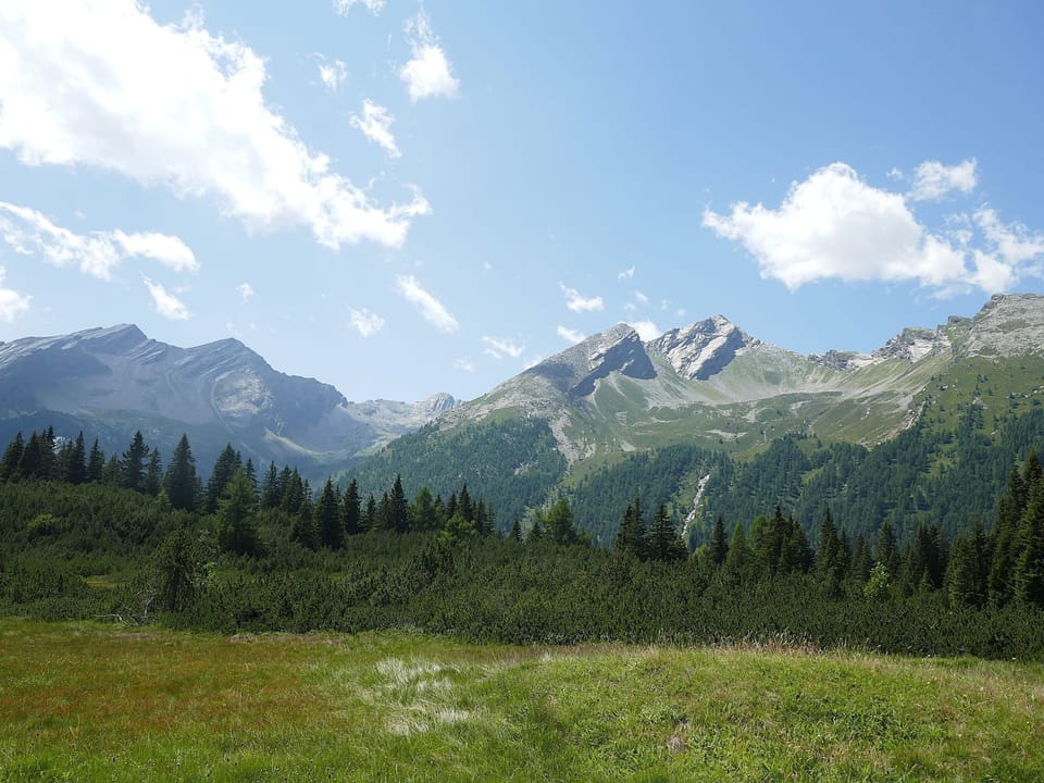 View
