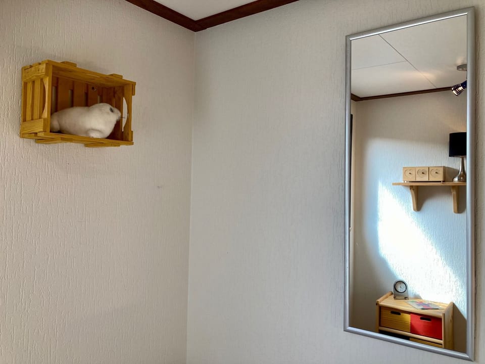 Inside other