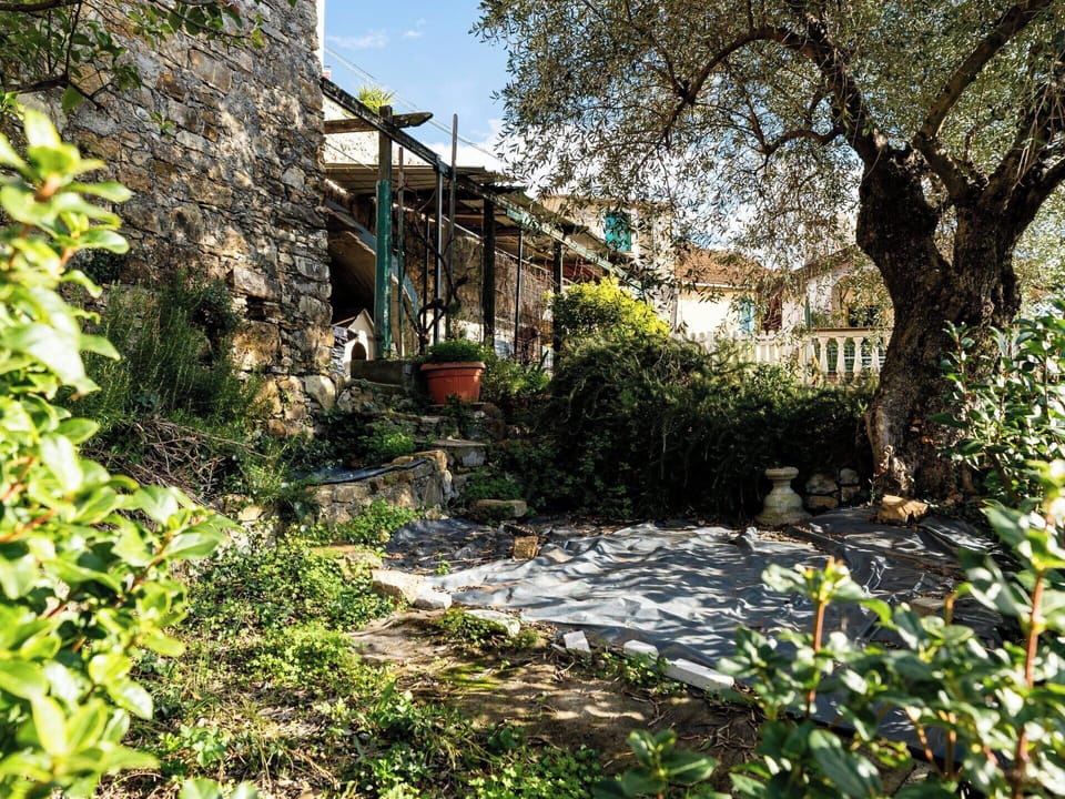 Green, Shrub, Garden, Spring, Shade, Backyard, Landscaping, Yard, Stone Wall