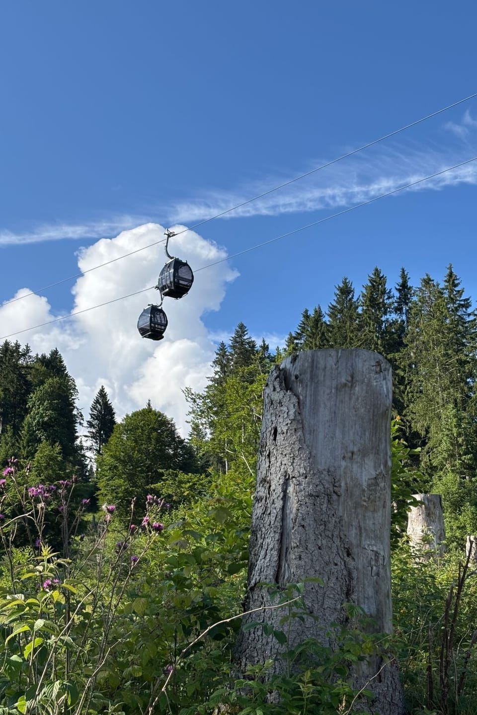 Inside other