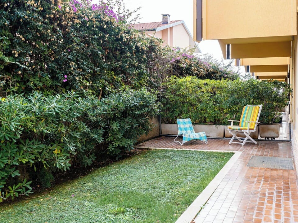 Shrub, Garden, Groundcover, Hedge, Shade, Landscaping, Yard, Backyard, Lawn, Courtyard