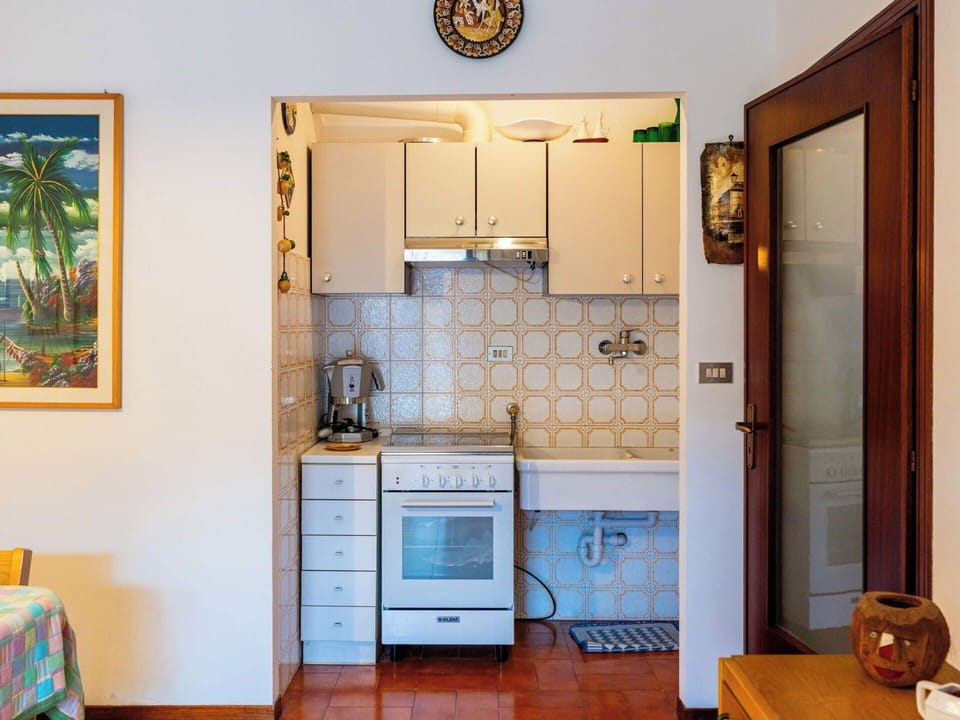 Kitchen, Kitchen Appliance, Major Appliance, Flooring, Interior Design, Wood, Floor, Countertop, Furniture, Kitchen Stove