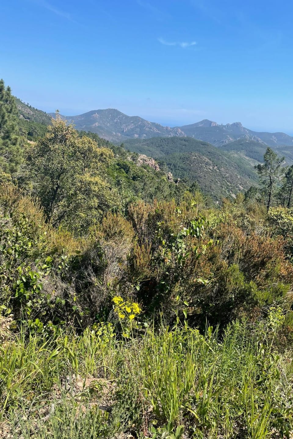 View