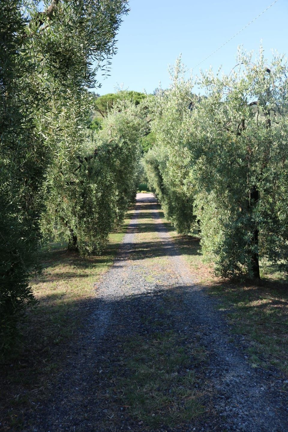 Inside other