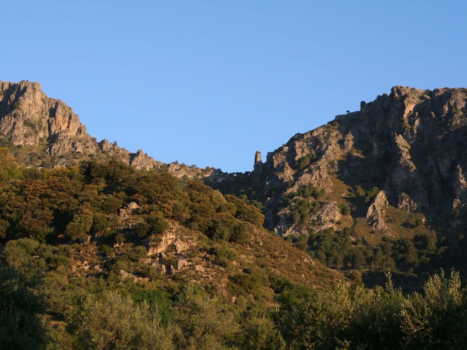 View