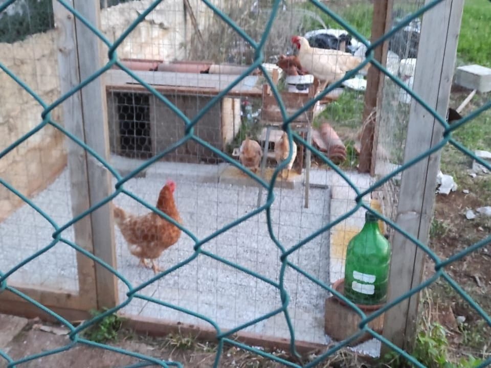Inside other