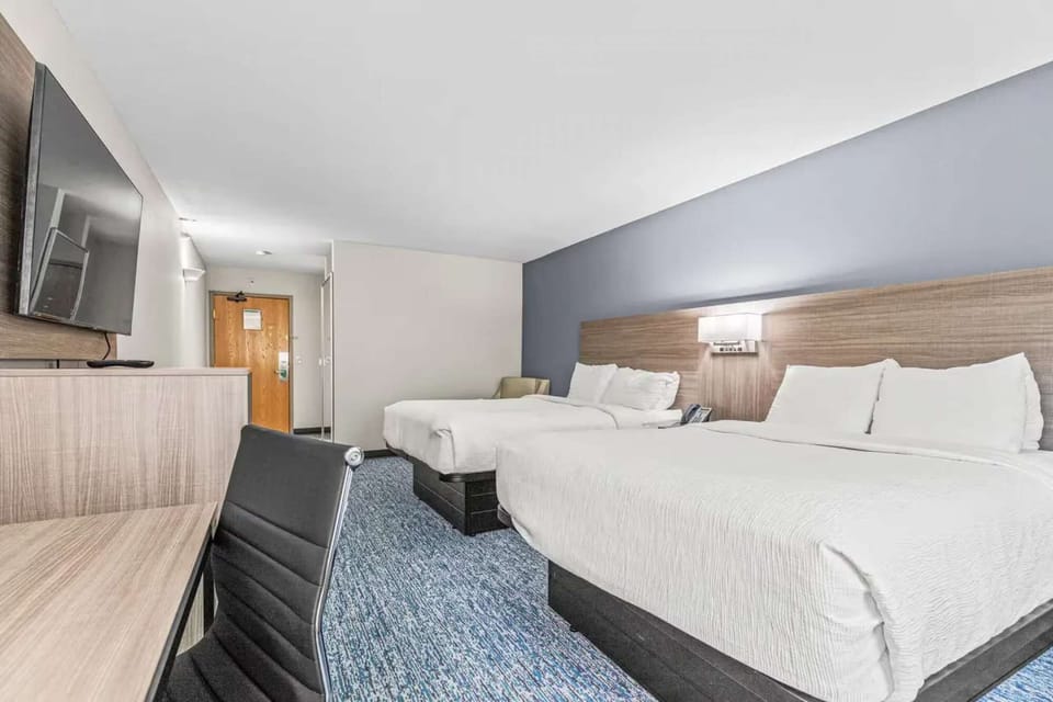 Room with two comfy beds, desk, TV, and soft blue carpet