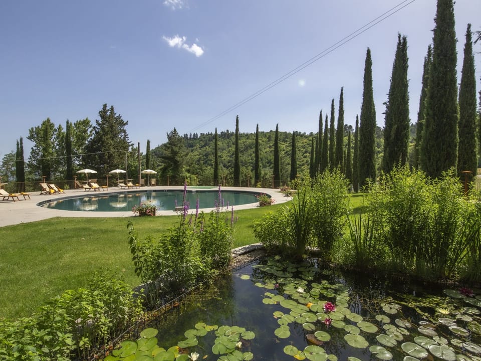 Pool Outdoor