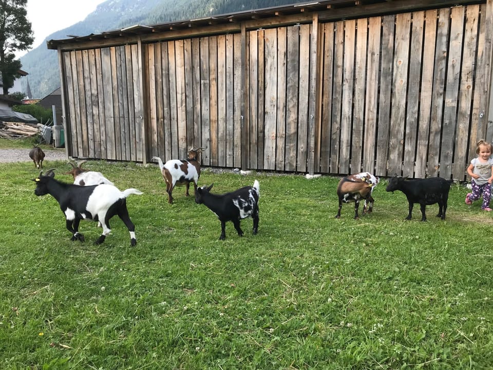 Inside other