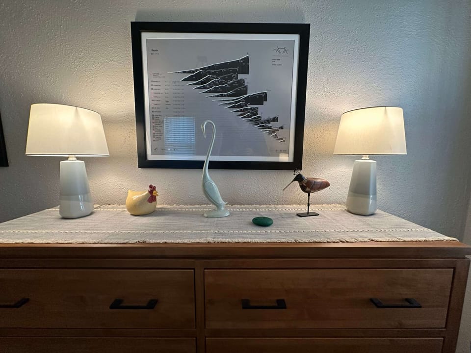 1st Floor BR - Queen bed (full closet and empty dresser) 