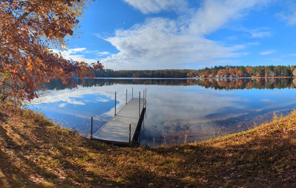Lake during autumn