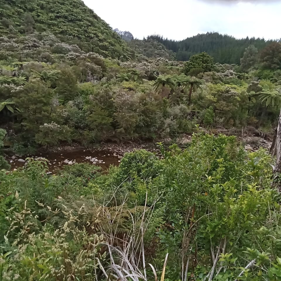 Taken from property from a  flat rock viewing platform, looking over the river