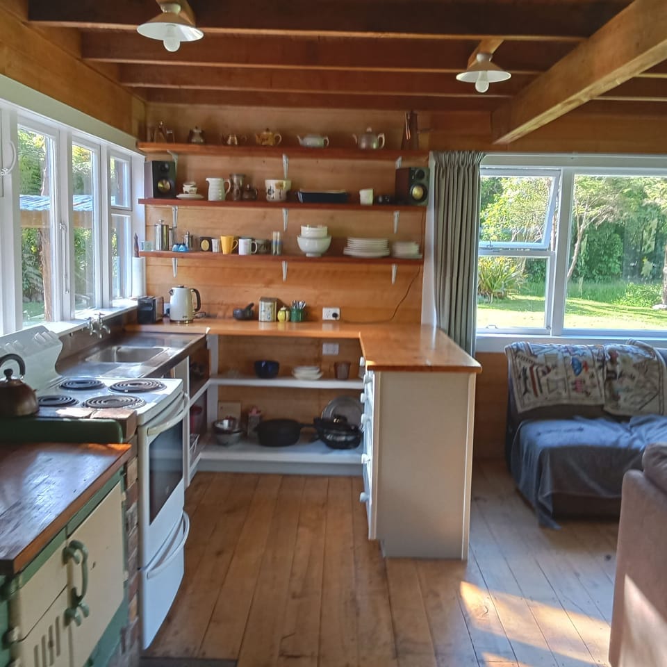 Kitchen/living showing views to outside 