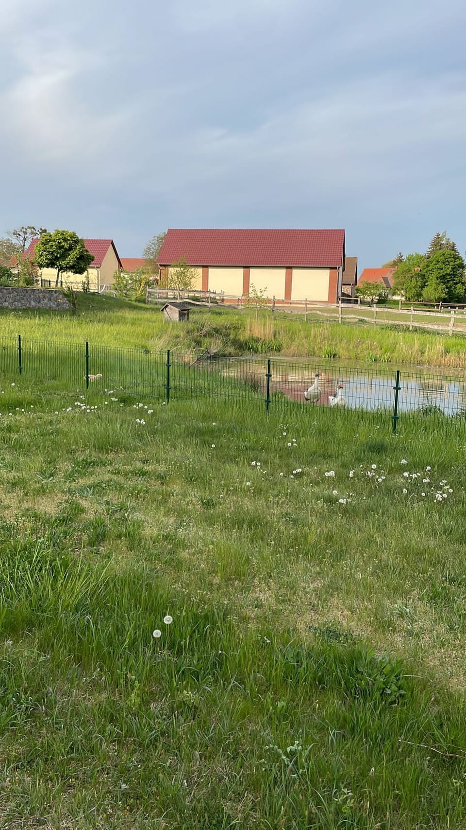 Property grounds