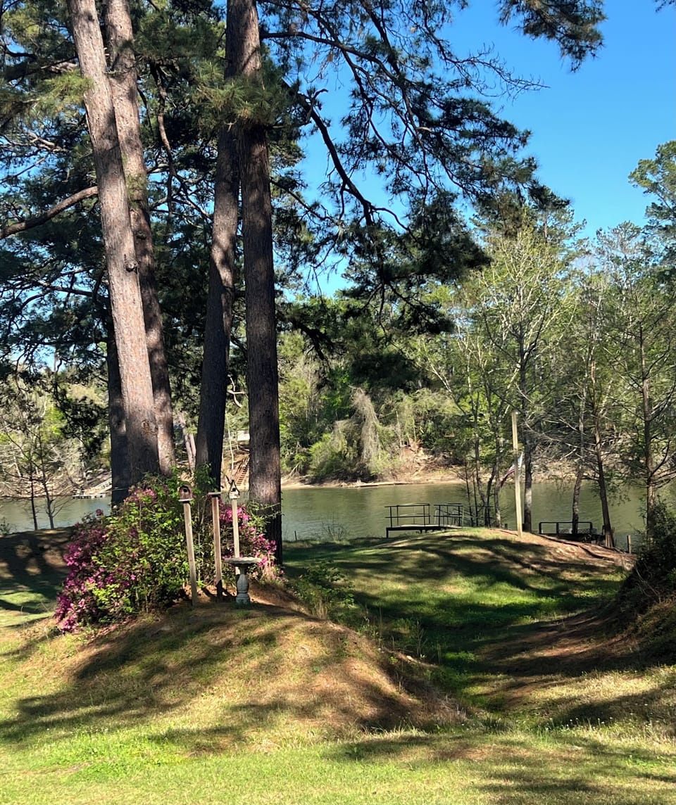 River view