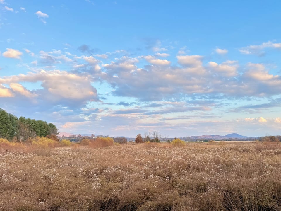 Mountain view from back patio